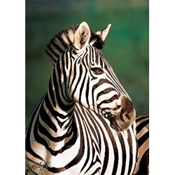 Trefl (10504) - "Zebra" - 1000 pieces puzzle