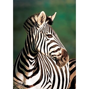 Trefl (10504) - "Zebra" - 1000 pieces puzzle