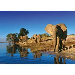 Heye (29595) - Alexander von Humboldt: "Thirsty Elephants" - 1000 pieces puzzle