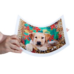 Step Puzzle (98007) - "Puppy" - 300 pieces puzzle