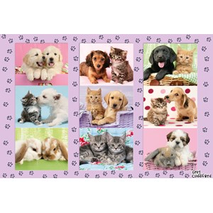 Schmidt Spiele (56268) - "My Animal Friends" - 100 pieces puzzle