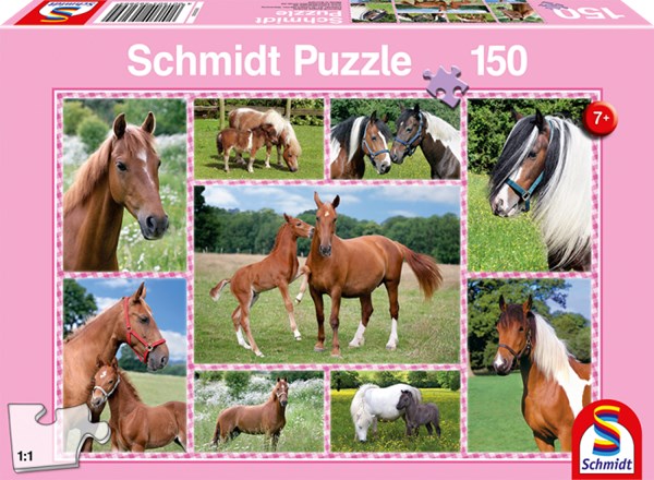 Schmidt Spiele (56269) - "Horse Dreams" - 150 pieces puzzle