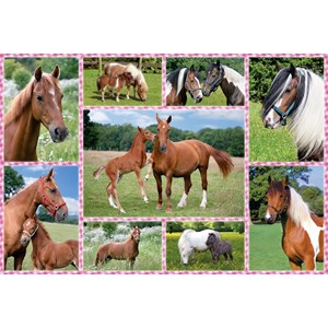 Schmidt Spiele (56269) - "Horse Dreams" - 150 pieces puzzle