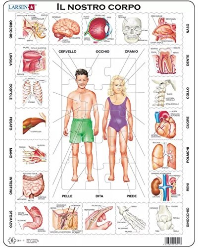 Larsen (OB1-IT) - "Il Nostro Corpo - IT" - 35 pieces puzzle