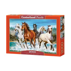 Castorland (C-200702) - "Call of Nature" - 2000 pieces puzzle