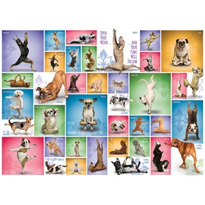 Eurographics (6000-0954) - "Yoga Dogs" - 1000 pieces puzzle