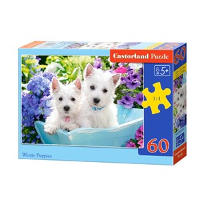 Castorland (B-066100) - "Westie Puppies" - 60 pieces puzzle