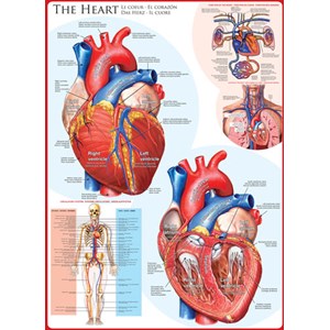 Eurographics (6000-0257) - "The Heart" - 1000 pieces puzzle