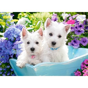 Castorland (B-222032) - "Westie Puppies" - 200 pieces puzzle