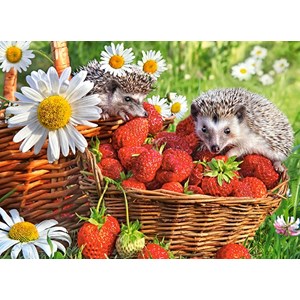 Castorland (B-222025) - "Strawberry Dessert" - 200 pieces puzzle