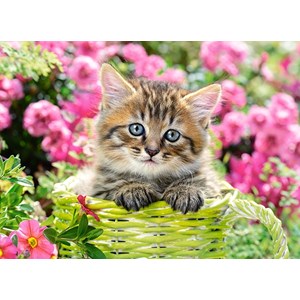 Castorland (B-111039) - "Kitten in Flower Garden" - 100 pieces puzzle