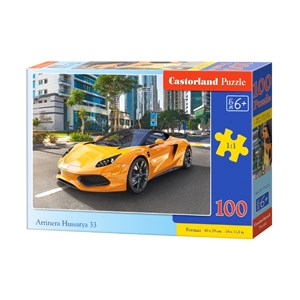 Castorland (B-111015) - "Arrinera Hussarya 33" - 100 pieces puzzle