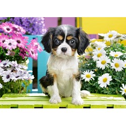 Castorland (B-070053) - "Spaniel Puppy in Flowers" - 70 pieces puzzle
