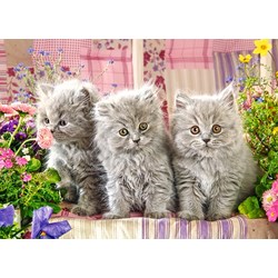 Castorland (B-27491) - "Three Grey Kittens" - 260 pieces puzzle
