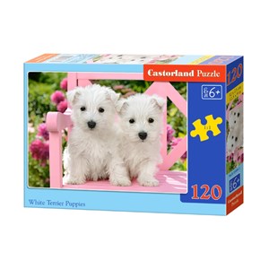 Castorland (B-13494) - "White Terrier Puppies" - 120 pieces puzzle