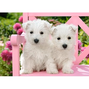 Castorland (B-13494) - "White Terrier Puppies" - 120 pieces puzzle