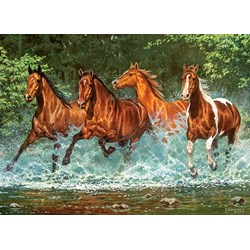 Castorland (B-030361) - "Cascade Run" - 300 pieces puzzle