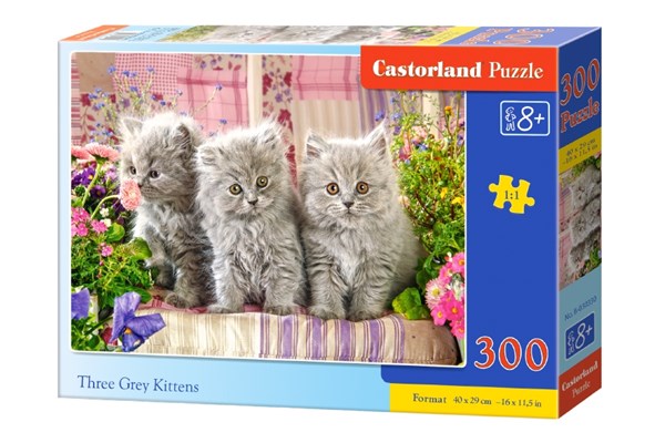 Castorland (B-030330) - "Three Grey Kittens" - 300 pieces puzzle