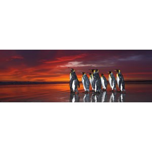 Heye (29858) - Wim van den Heever: "King Penguins" - 1000 pieces puzzle