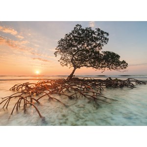 Heye (29856) - "Red Mangrove" - 1000 pieces puzzle