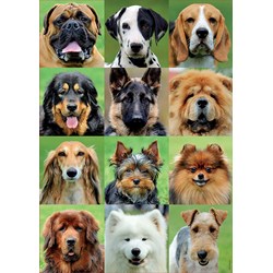 Educa (17963) - "Dogs collage" - 500 pieces puzzle