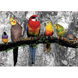 Educa (17984) - "Birds on the jungle" - 500 pieces puzzle