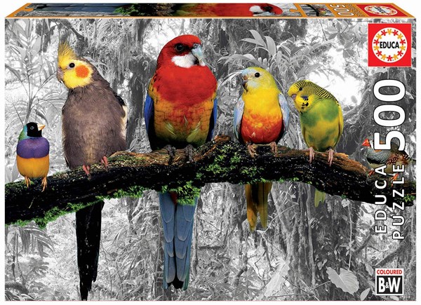 Educa (17984) - "Birds on the jungle" - 500 pieces puzzle
