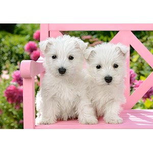 Castorland (C-151721) - "White Terrier Puppies" - 1500 pieces puzzle