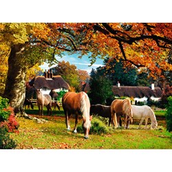 Ravensburger (14081) - "Picturesque Hampshire" - 500 pieces puzzle