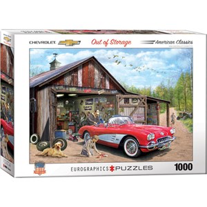 Eurographics (6000-5447) - "Out of Storage" - 1000 pieces puzzle