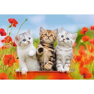 Ravensburger (07626) - "Kittens" - 12 pieces puzzle