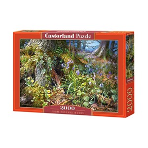Castorland (C-200764) - "From Rusland Woods" - 2000 pieces puzzle