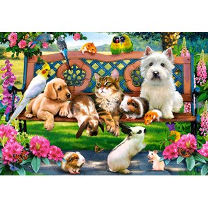 Castorland (C-104406) - "Pets in the Park" - 1000 pieces puzzle