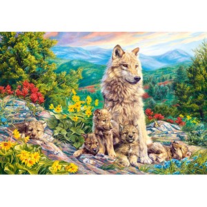 Castorland (C-104420) - "New Generation" - 1000 pieces puzzle