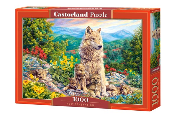 Castorland (C-104420) - "New Generation" - 1000 pieces puzzle