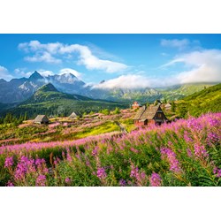Castorland (C-104512) - "Hala Gasienicowa, Tatras, Poland" - 1000 pieces puzzle