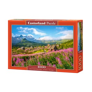 Castorland (C-104512) - "Hala Gasienicowa, Tatras, Poland" - 1000 pieces puzzle