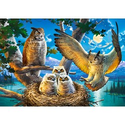 Castorland (B-53322) - "Owl Family" - 500 pieces puzzle