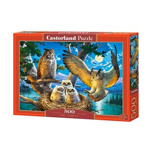 Castorland (B-53322) - "Owl Family" - 500 pieces puzzle