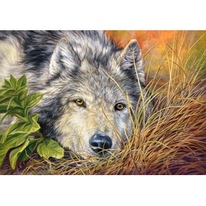 Castorland (B-53285) - "Pure Soul" - 500 pieces puzzle