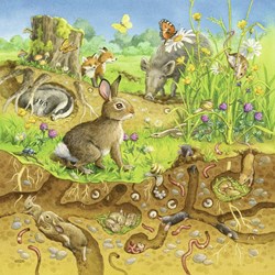 Ravensburger (08050) - "Animals in their Habitats" - 49 pieces puzzle