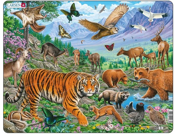 Larsen (FH39) - "The Amur Tiger in Siberian Summer" - 36 pieces puzzle