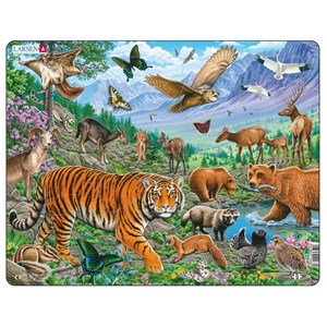 Larsen (FH39) - "The Amur Tiger in Siberian Summer" - 36 pieces puzzle
