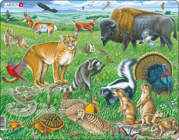 Larsen (FH40) - "Wildlife on the Great American Prairie" - 53 pieces puzzle