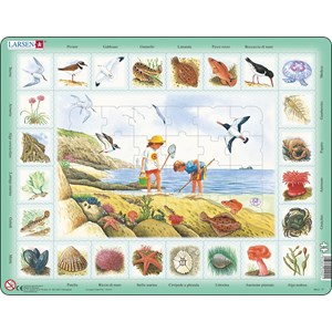 Larsen (NA2-IT) - "Seaside" - 48 pieces puzzle