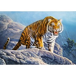 Castorland (B-53346) - "Tiger on the Rocks" - 500 pieces puzzle