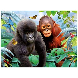 King International (05327) - "Animal World" - 12 24 36 50 pieces puzzle