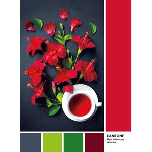 Clementoni (39494) - "Red Hibiscus Aroma" - 1000 pieces puzzle