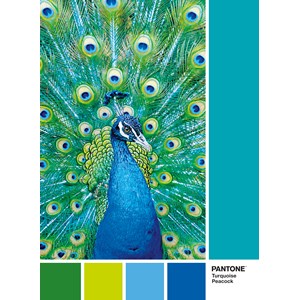 Clementoni (39495) - "Turquoise Peacock" - 1000 pieces puzzle