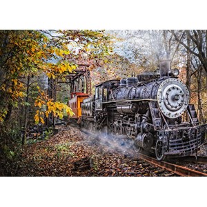 Schmidt Spiele (58377) - "Railway Fascination" - 1000 pieces puzzle